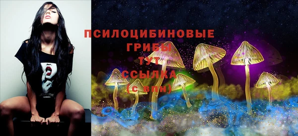 дживик Пикалёво