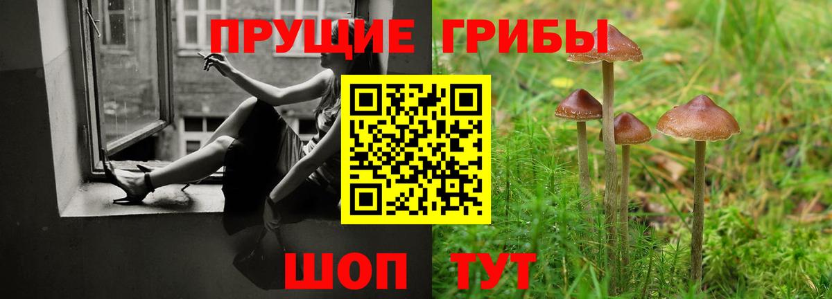 Псилоцибиновые грибы Cubensis Советская Гавань